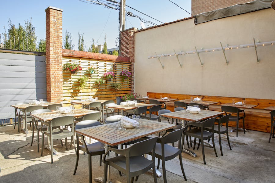 Daisies Logan Square Chicago The Infatuation